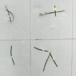 Os Sábados das Crianças | Workshop | "Desenhar, Imaginar o Mundo ao Nosso Redor" com Nuno Silas